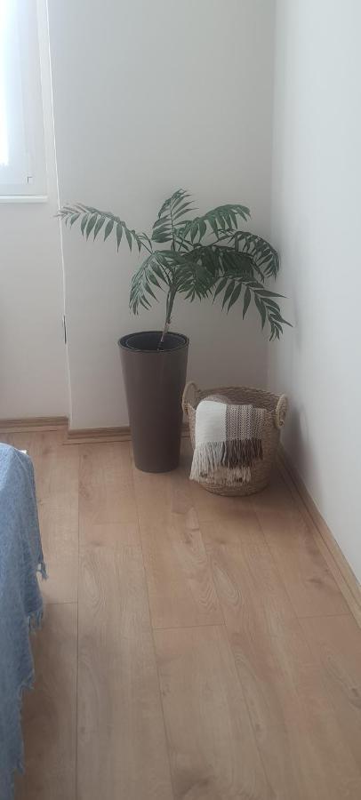 Apartman Taca Subotica Exteriör bild